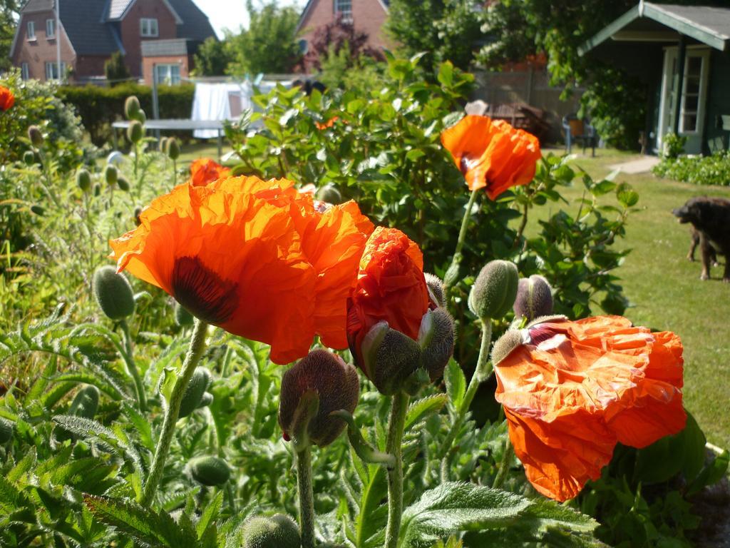 Pension Sturmmoewe Norddorf Exterior foto